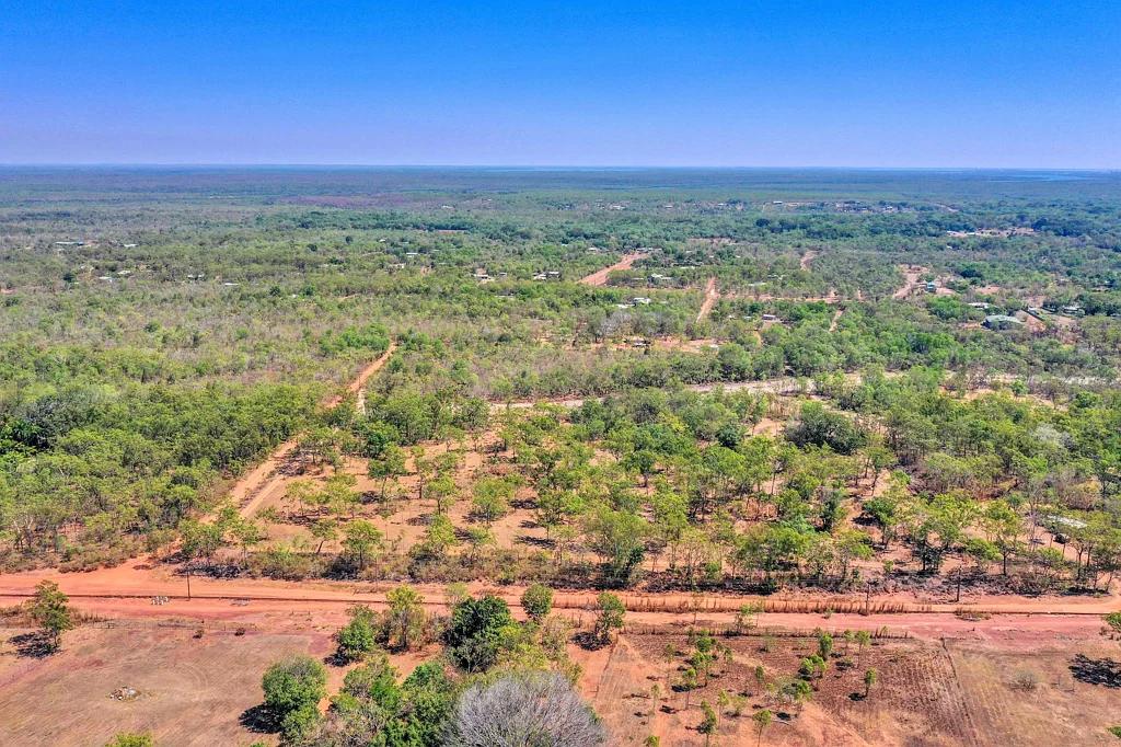 Bees Creek Land Of Opportunity in The Heart Of Bees Creek!