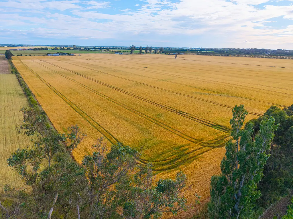 Levels 37.47 Hectares of prime irrigated cropping land