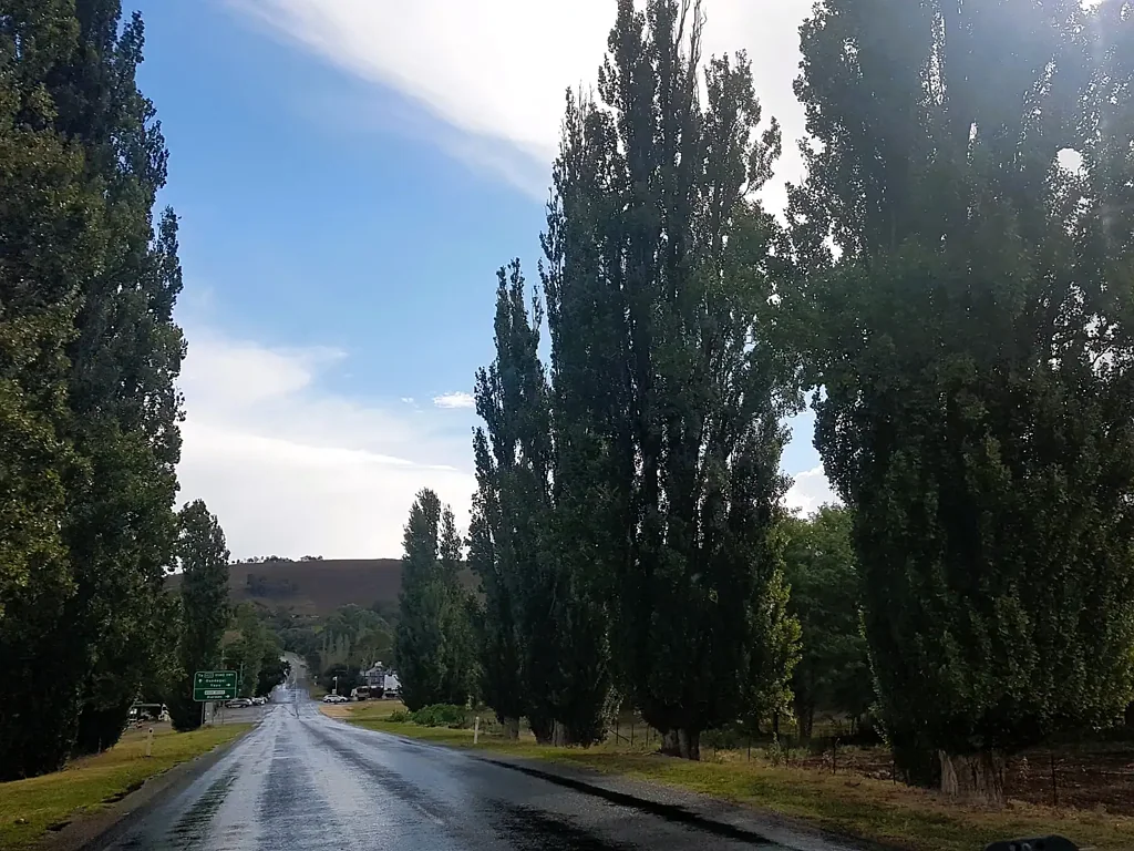 Tumut Land for Sale – Elevated 781 m² Block with Beautiful Views