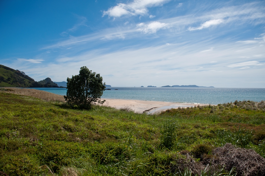 68 Skippers Road, Opito Bay, Coromandel, 0 habitaciones, 0 baños