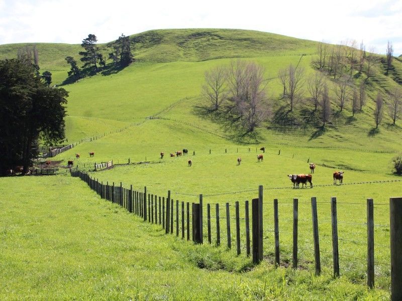 352 Stanley Road, Wainui, Whakatane, 0 habitaciones, 0 baños