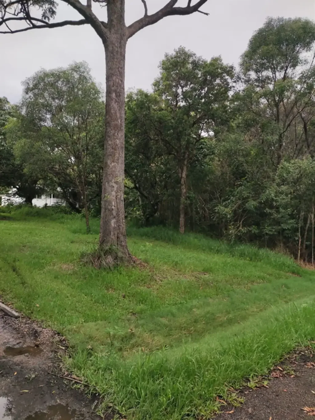 Macleay Island Close to Town!