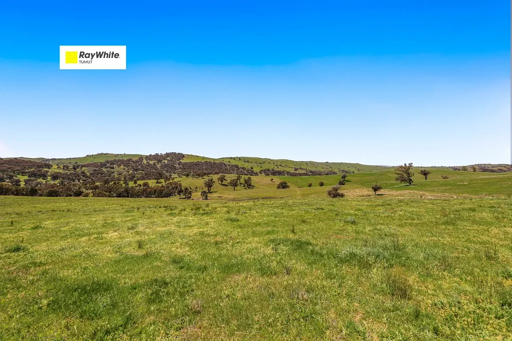 1260 Wondalga Road, Adelong, NSW 2729
