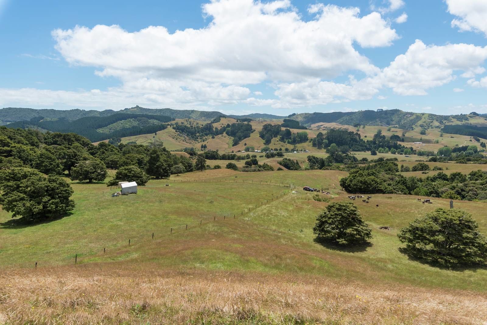 399 Komokoriki Hill Road, Makarau, Auckland - Rodney, 4 rūma, 2 rūma horoi