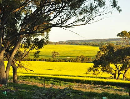 5157 York-Williams Road, West Pingelly, Wheat Belt, 3 غرف, 2 حمامات, Lifestyle Property