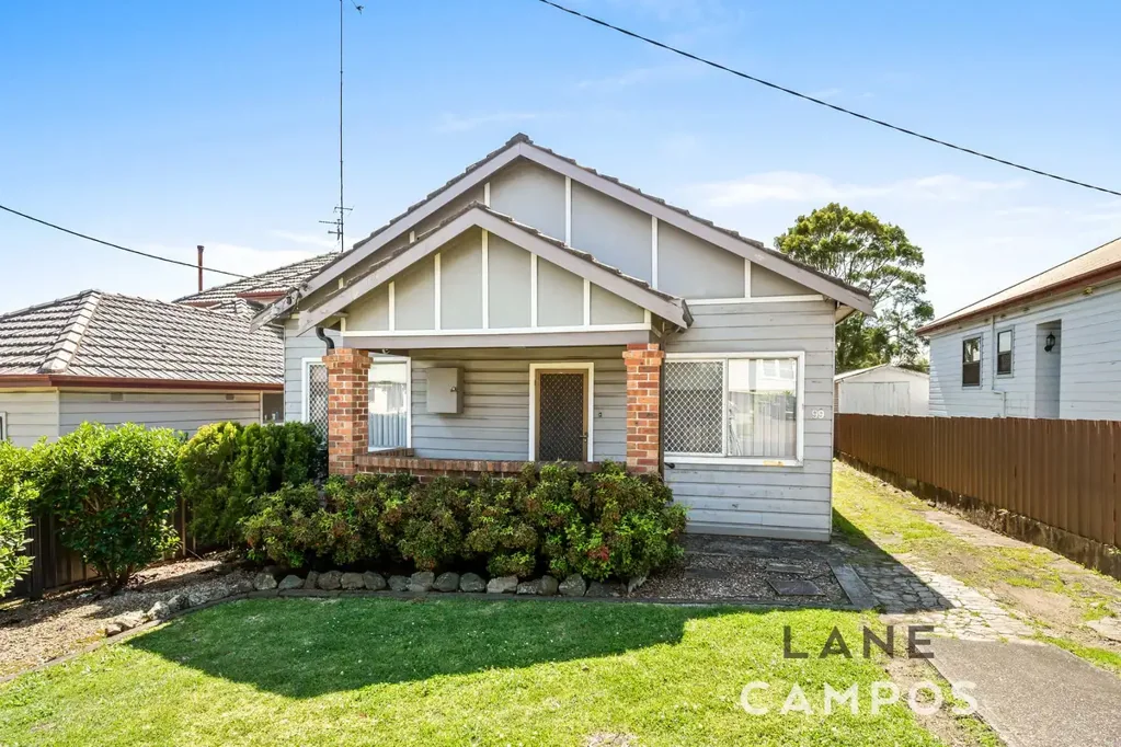 99 Lorna Street, Waratah West, NSW 2298