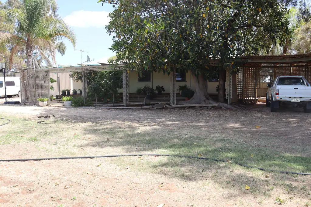 Barmera 3chambre Quaint 3-Bedroom Home with Vineyard