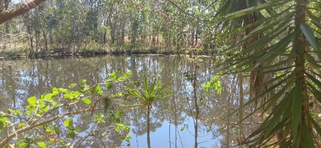 Torbanlea  Prime 55 Acre Land Opportunity – Wetlands, Wildlife, and Strategic Location