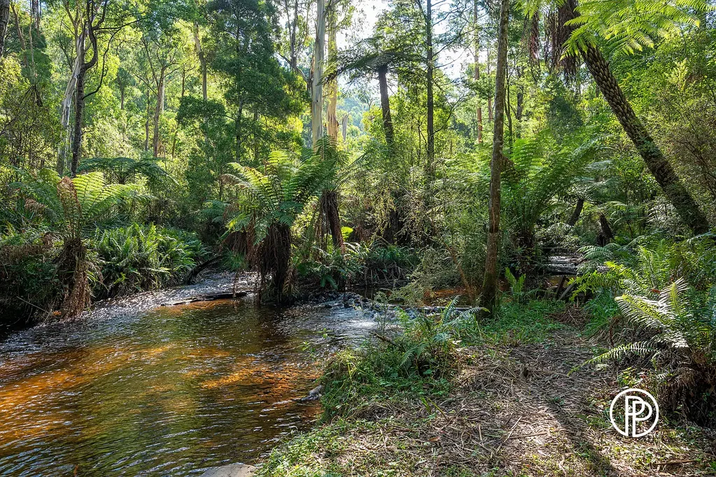 Reefton 1/3 OF AN ACRE OF COUNTRY LIFESTYLE BLISS