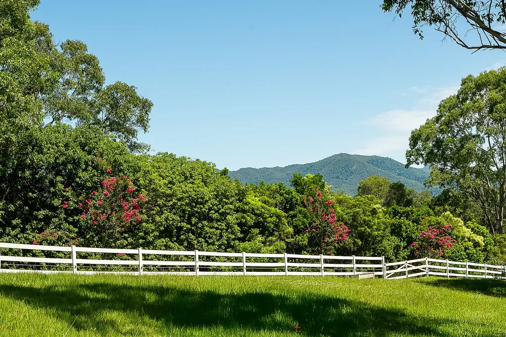 Wights Mountain Prime acreage - opportunity to build your dream