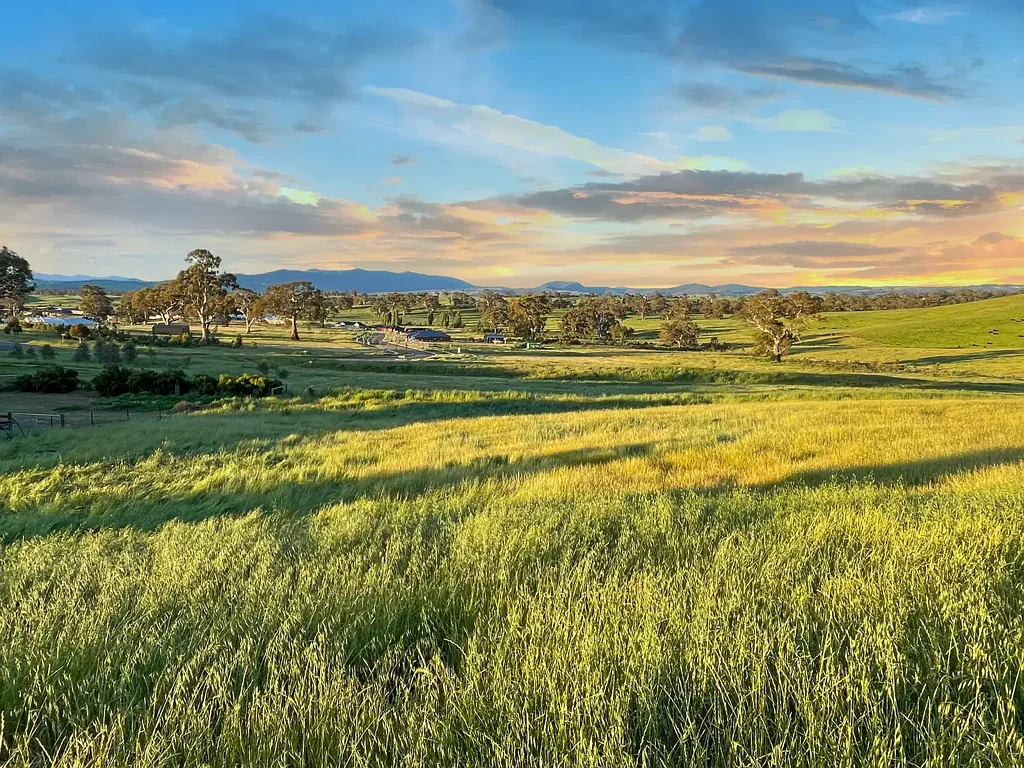 Mansfield Space, Views & Vision - It All Starts Here!