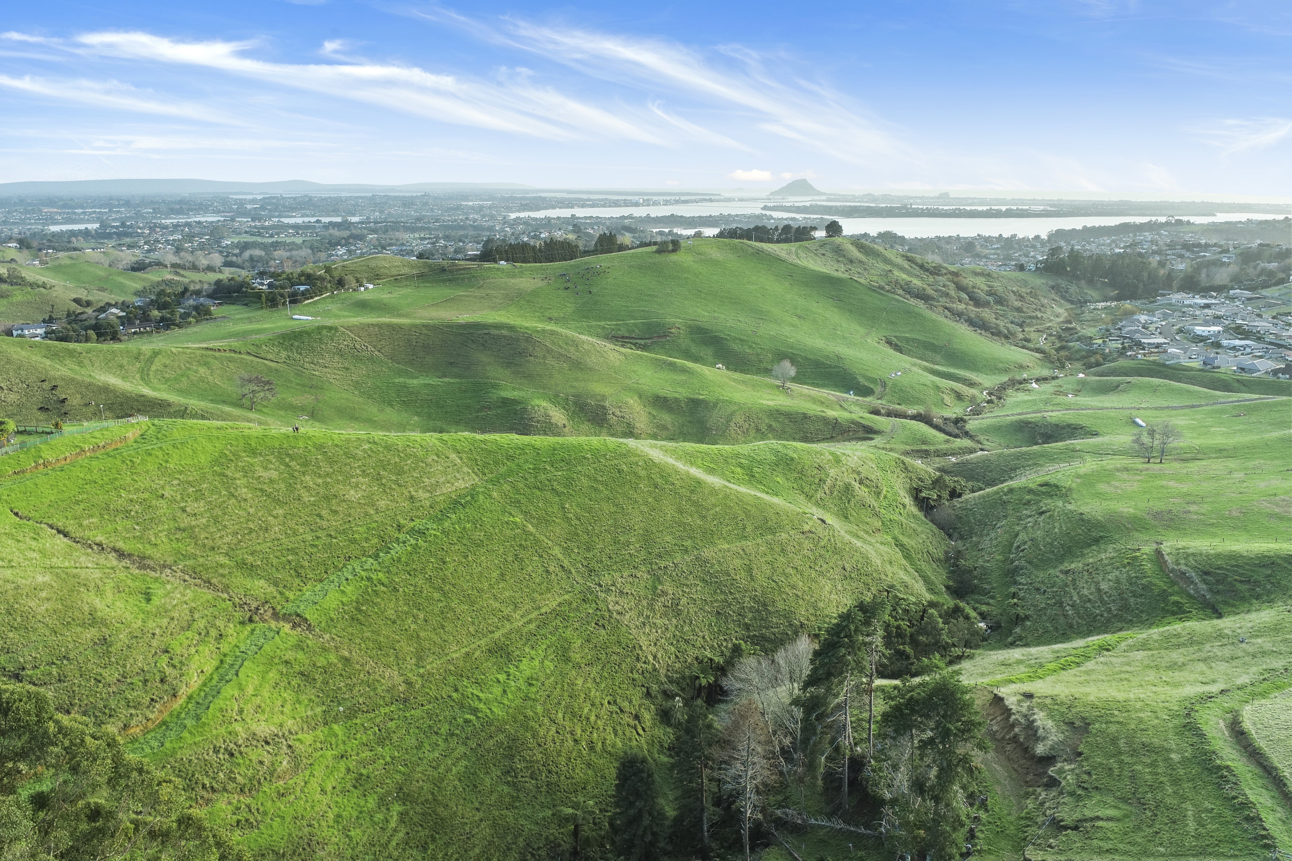 307 Waitaha Road South, Welcome Bay, Tauranga, 0 રૂમ, 0 બાથરૂમ, Grazing