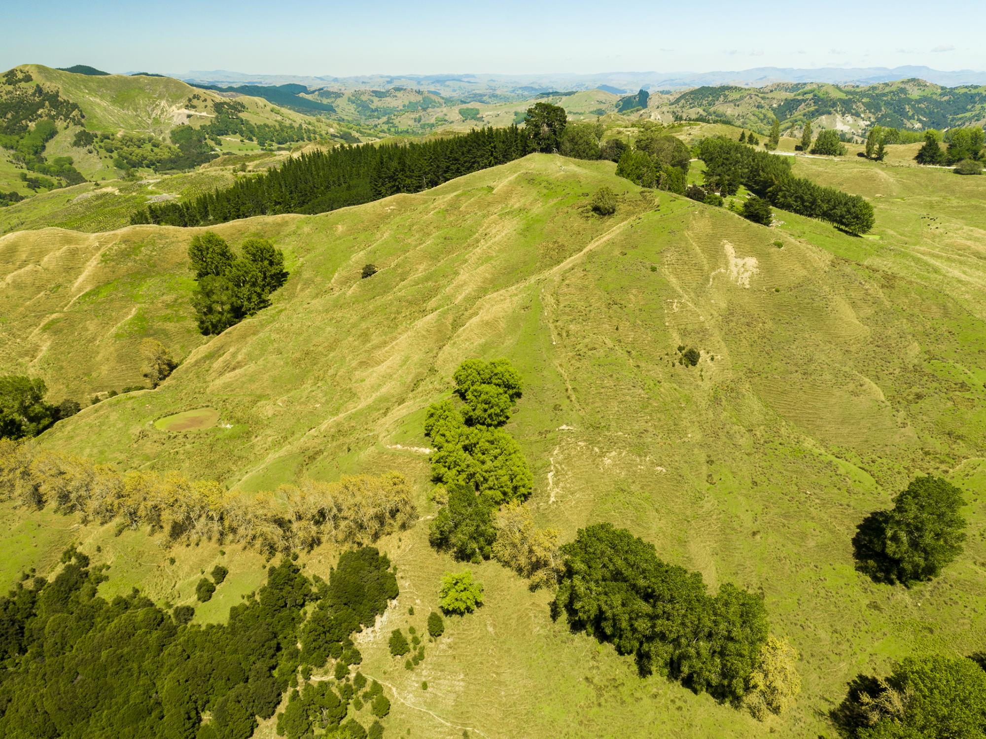 1574 Kanakanaia Road, Whatatutu, Gisborne, 4 Kuwarto, 0 Banyo