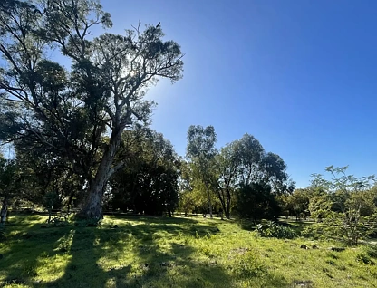 LOT 103 Doghill Road, Baldivis, Rockingham, 0 રૂમ, 0 બાથરૂમ, Section