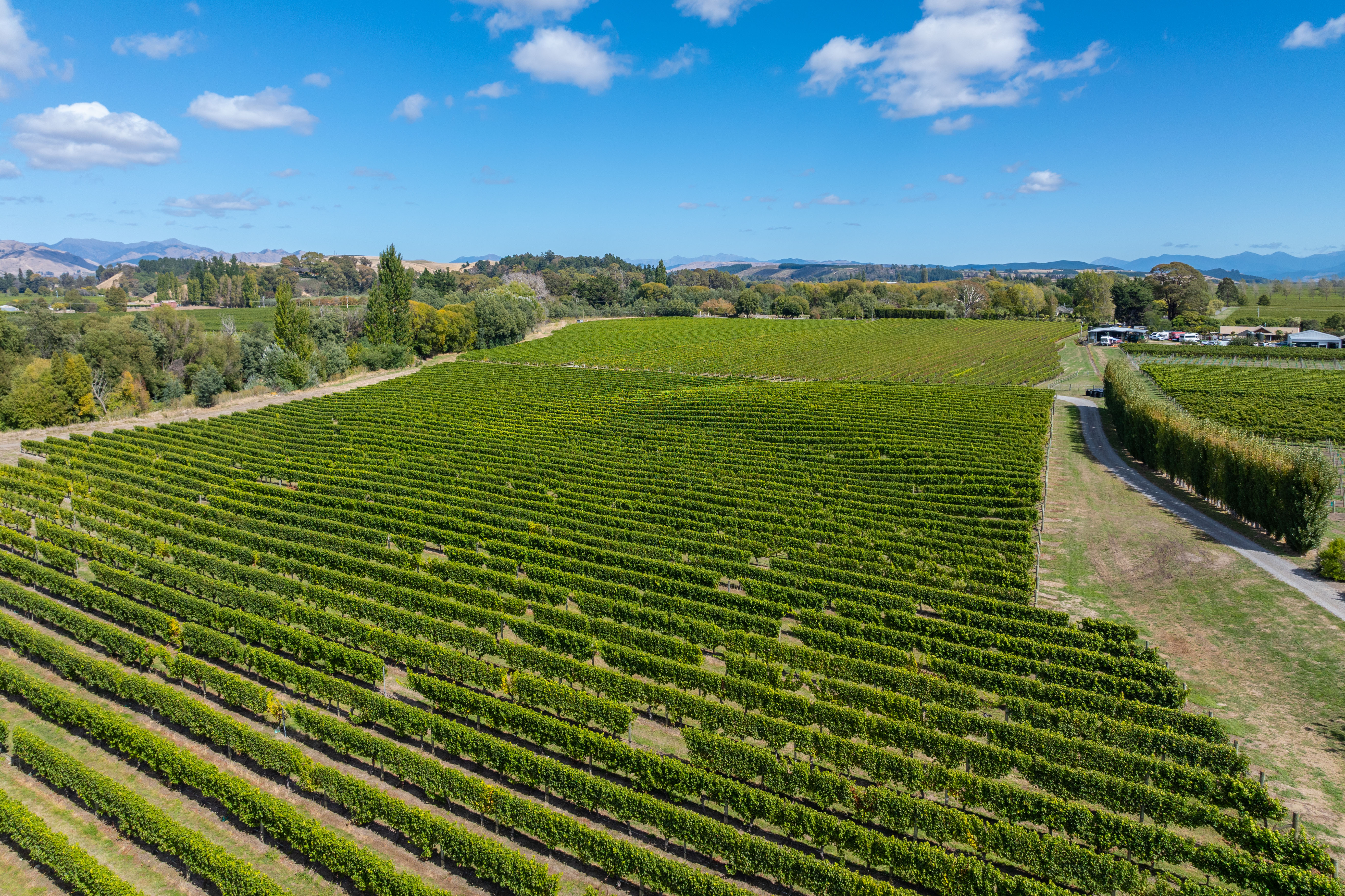 Hawkesbury Road, Hawkesbury, Marlborough, 0 Schlafzimmer, 0 Badezimmer, Bare Land