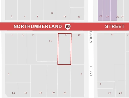 17 Northumberland Street, Tapanui, Clutha, 0房, 0浴