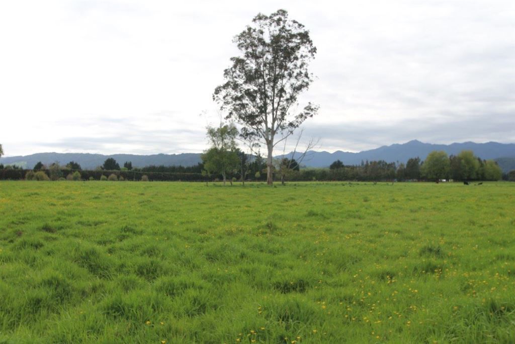 Arapaepae South Road, Levin, Horowhenua, 0 chambres, 1 salles de bain