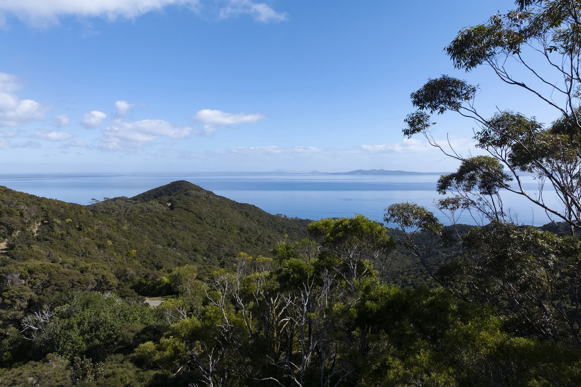 Mangonui Surrounds  Spectacular Sea Views, Bush Clad, Priced to Sell