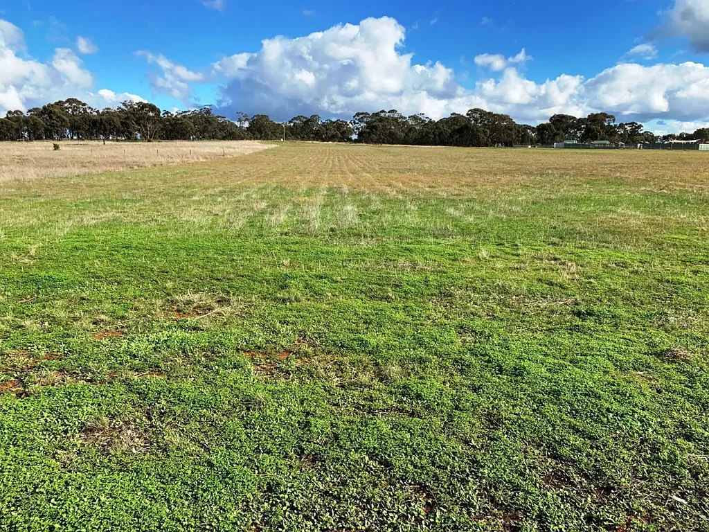 Bonn 12 ACRES OF FARM ZONE LAND-$20,000 an acre