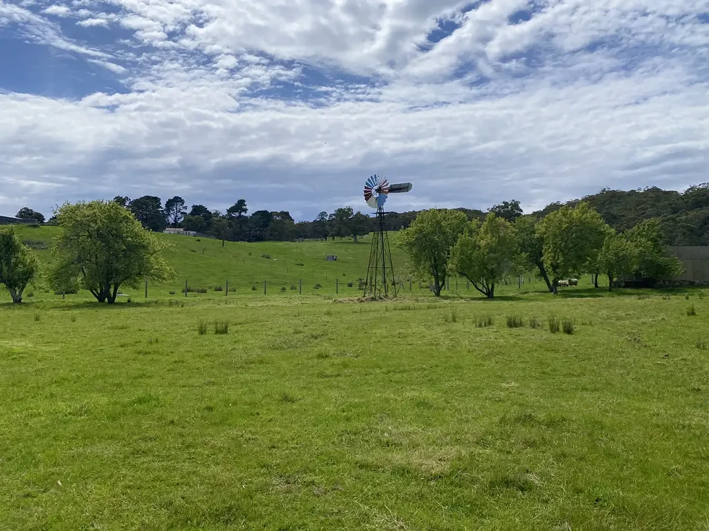 Upper Sturt Stunning 2.5 Acres with Endless Potential