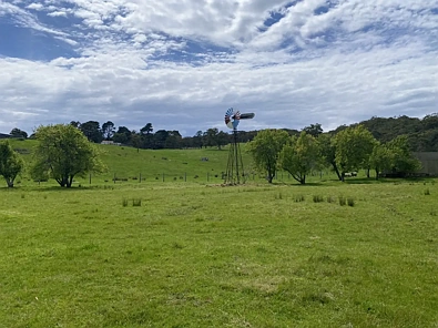 Upper Sturt Stunning 2.5 Acres with Endless Potential