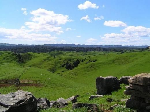 178 Were Road, Pomarangai, Waitomo, 0 ห้องนอน, 0 ห้องน้ำ