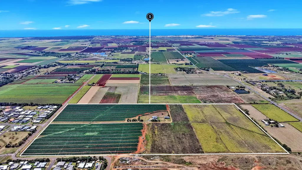 Kalkie SOLD FOR $11 MILLION BY TIM MCCOLLUM