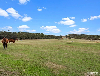 00 Springhill Bottom Road, Colebrook, South East, 0 habitaciones, 0 baños, Section