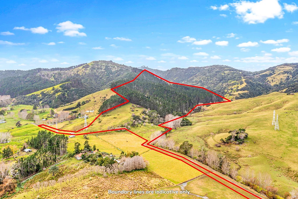 Kaipara Flats  35ha Glorit Forestry/Farm Block