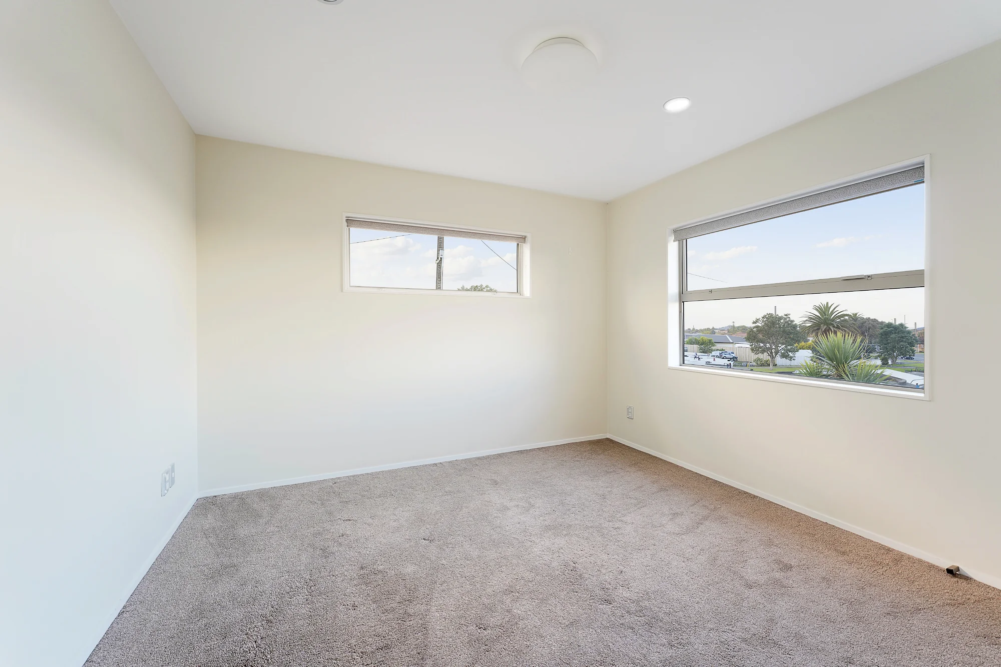 240 Sturges Road, Henderson, photo 13
