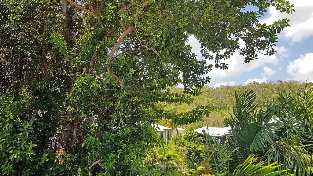 1310 Clifton Road, Clifton Beach, QLD 4879