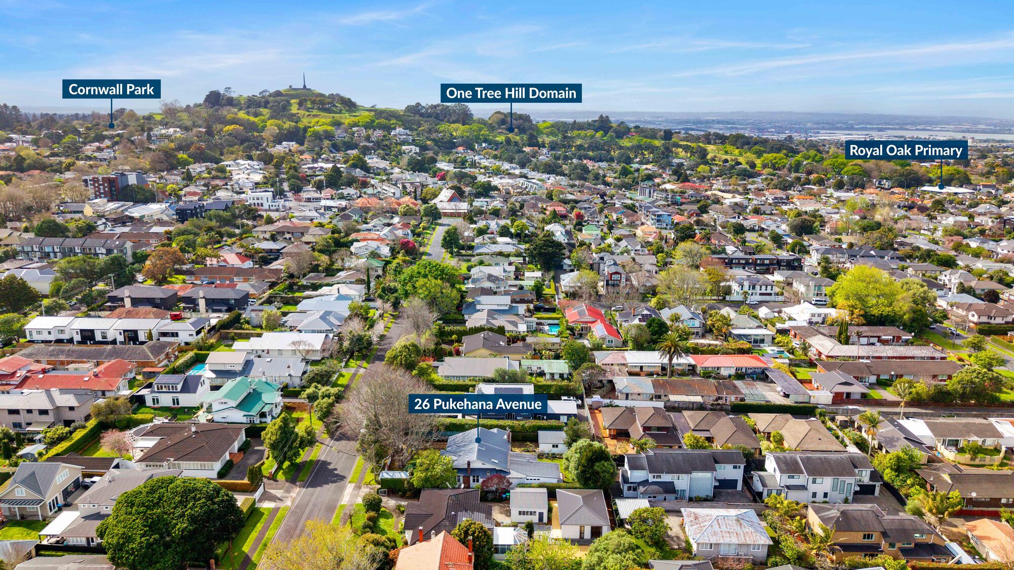 26 Pukehana Avenue, Epsom, photo 19