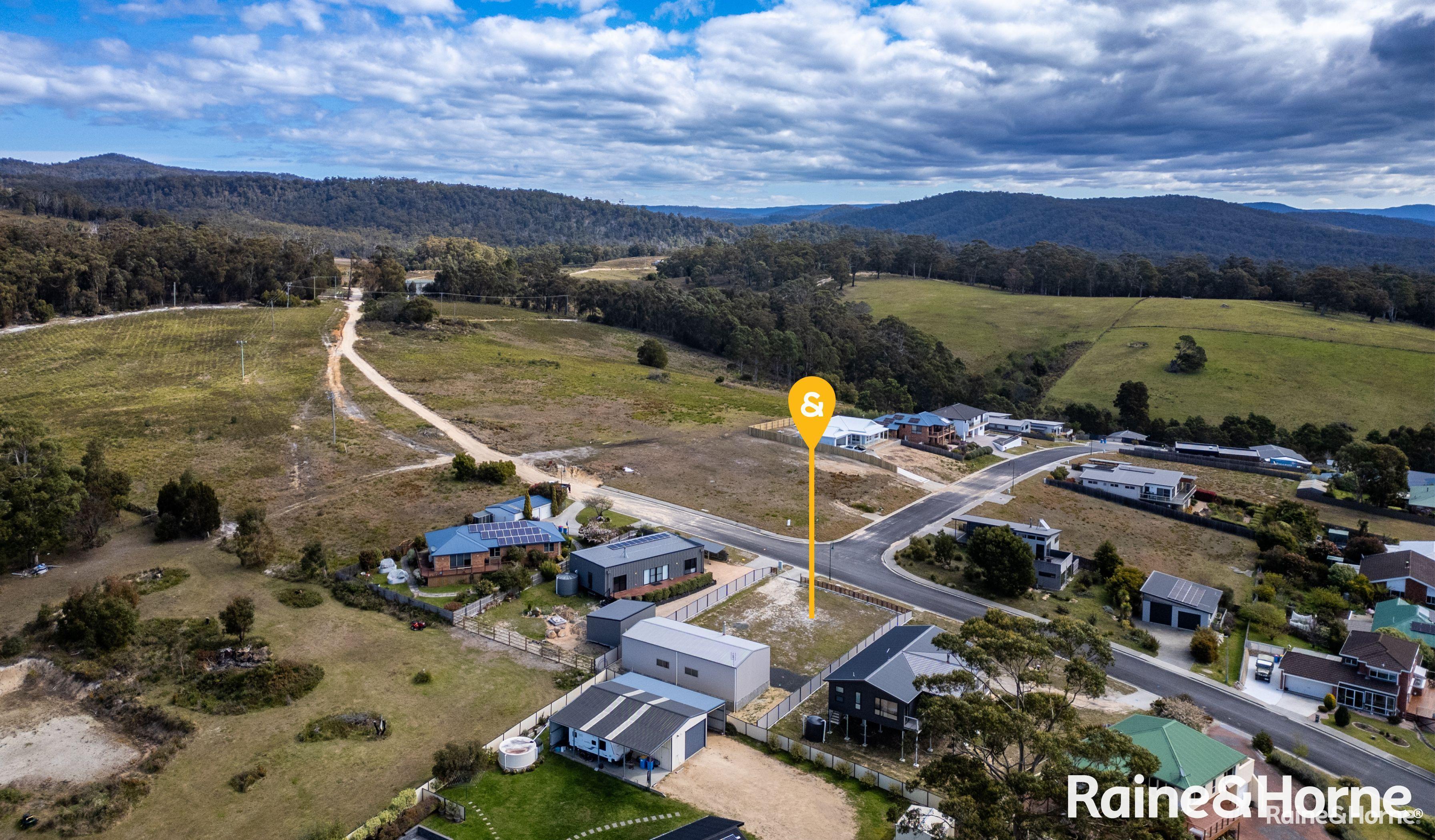 13 COBROOGA DR, ST HELENS TAS 7216, 0 rūma, 0 rūma horoi, Section