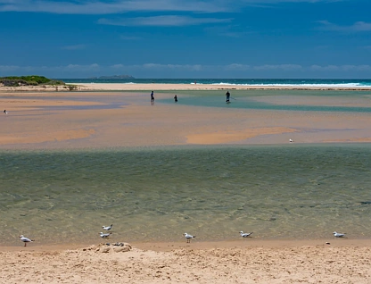 5-9 Moonee Beach Road, Coffs Harbour, North Coast, 1 ਕਮਰੇ, 1 ਬਾਥਰੂਮ, Lifestyle Property