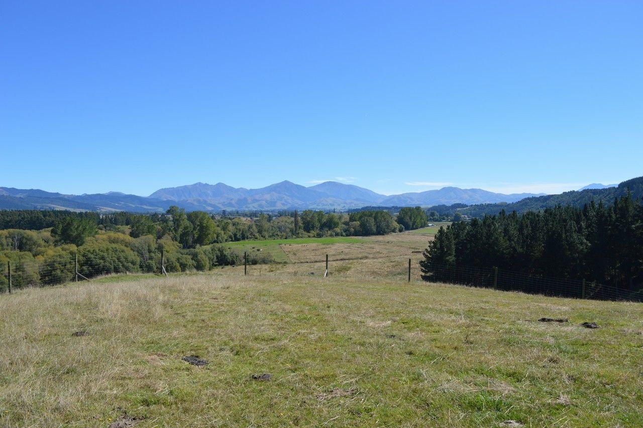 Pleasant Valley Road, Geraldine, Timaru, 0 rūma, 1 rūma horoi