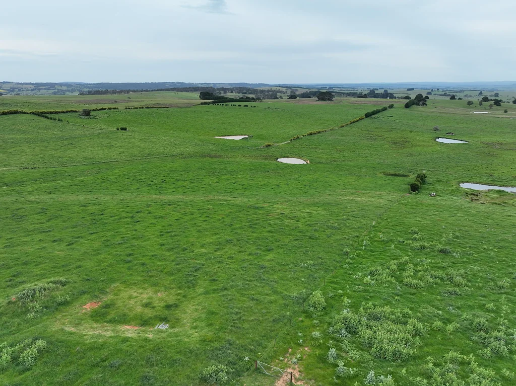 253 McAlister Road Laggan/, Crookwell, NSW 2583