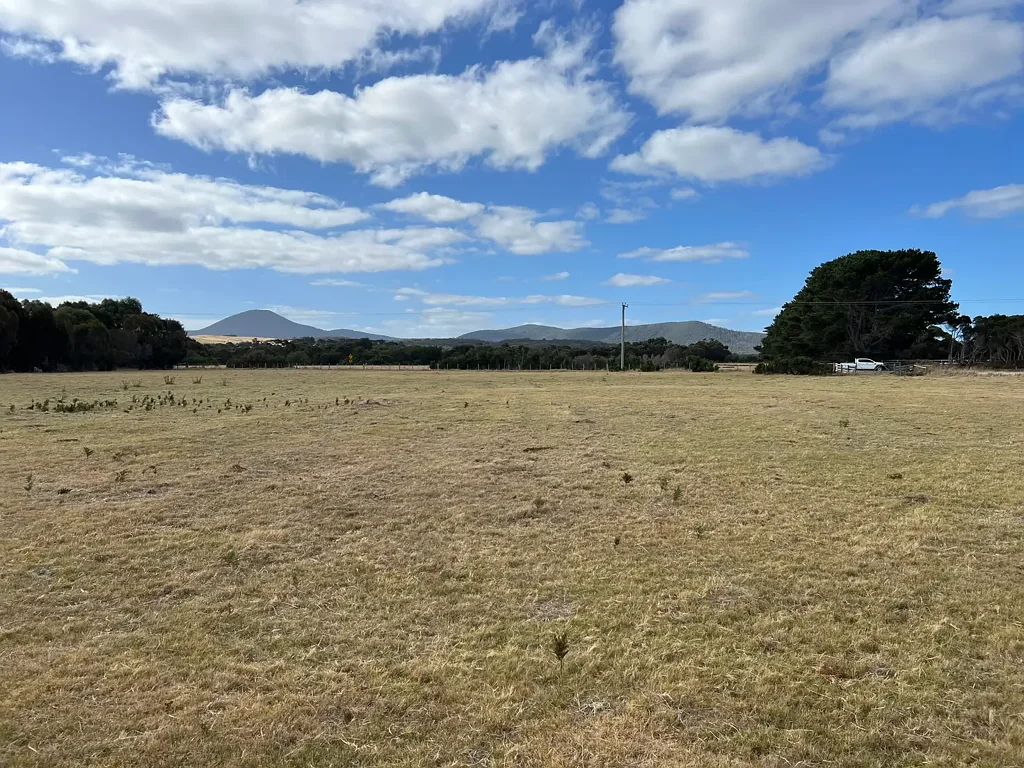 Whitemark Subdivision Potential