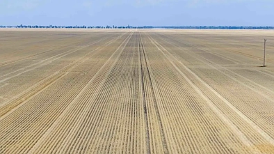  North Prairie, Moree, NSW 2400, 0 slaapkamers, 0 badkamers, Lifestyle Property