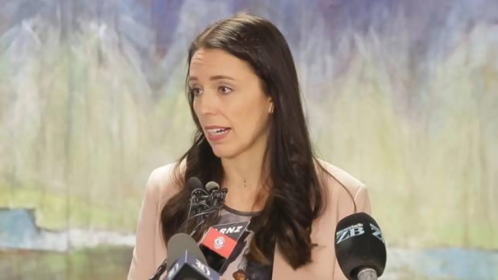 新西兰前总理John Key:工党新任美女党魁非常出色,比Andrew Little强多了!