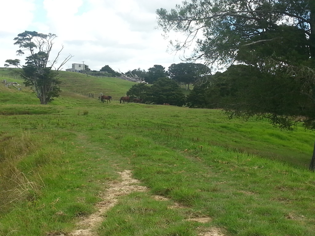 Paparoa-Oakleigh Road, Otamatea Surrounds, Kaipara, 0 રૂમ, 0 બાથરૂમ