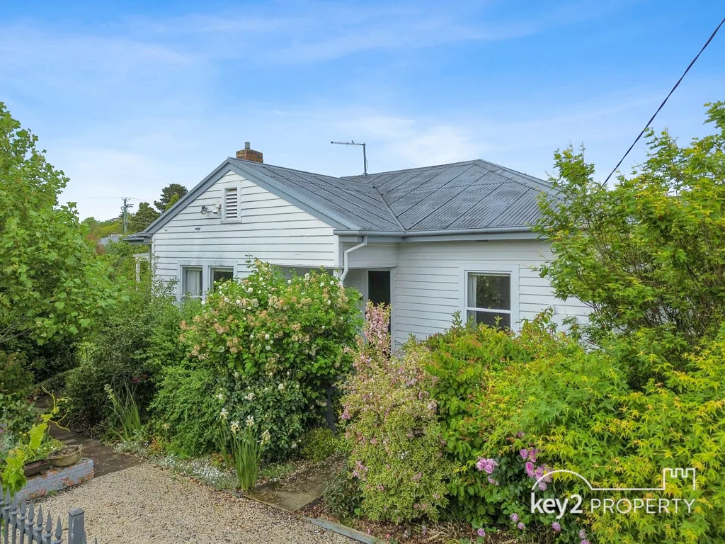 8 Pine Avenue, Newstead, TAS 7250
