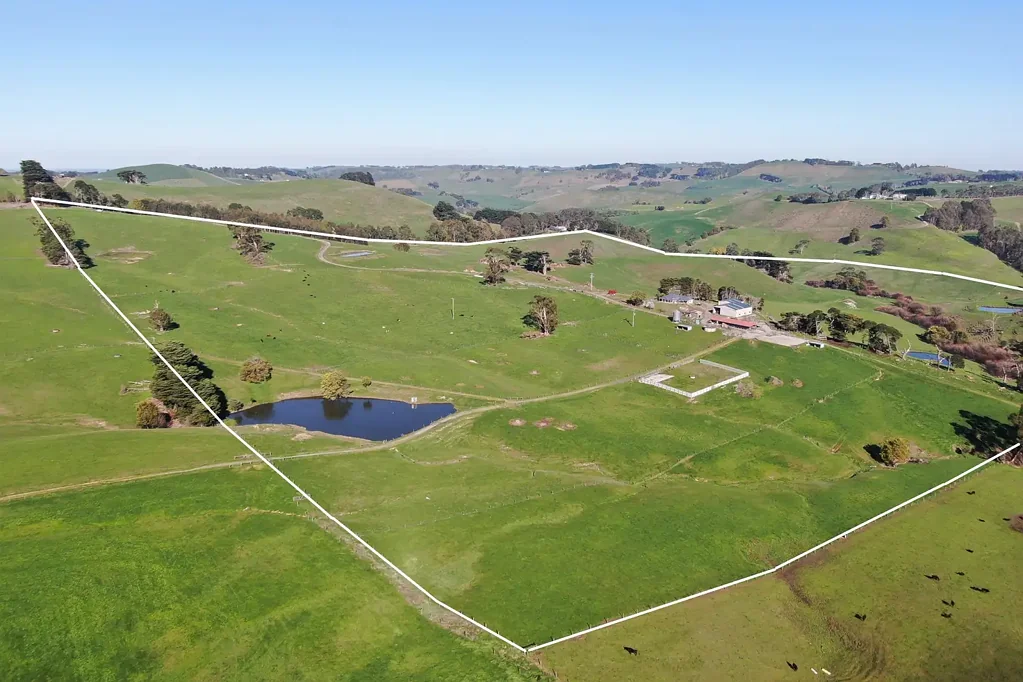 Bena  Dairy Today, Beef Tomorrow