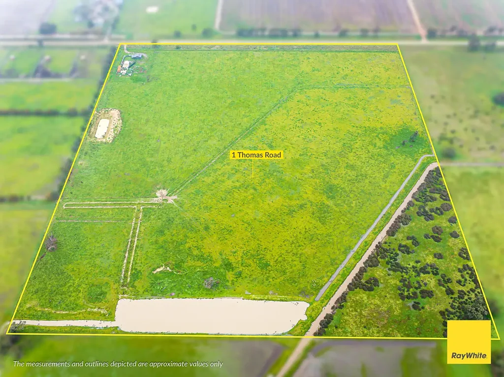 Dingee  Productive Rural Holding with Excellent Infrastructure