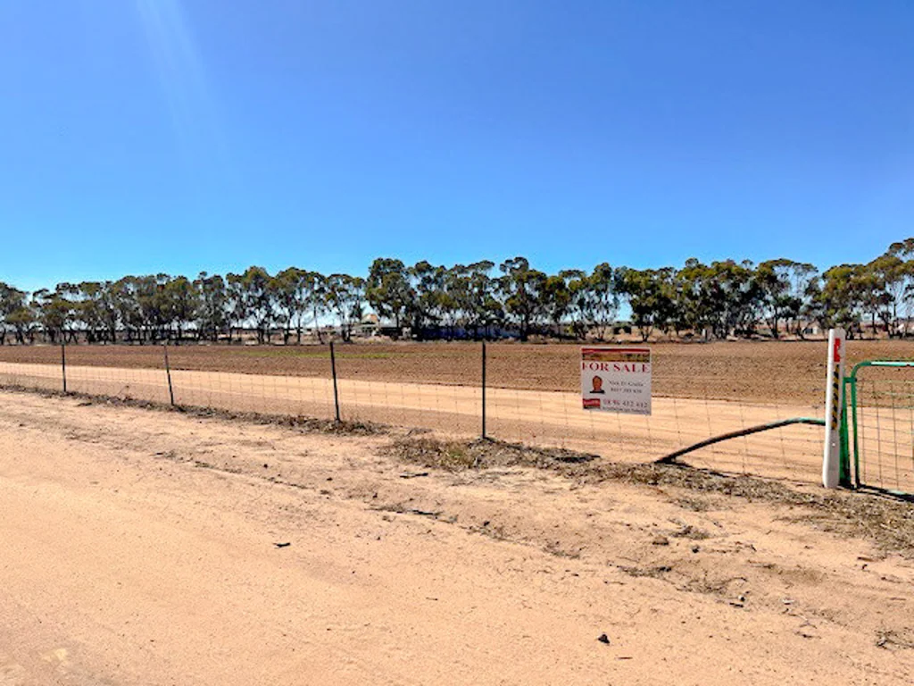 Hines Hill  Fun Holiday Retreat Or Hobby Farming Project?
Can This Property Have Any More Surprises?