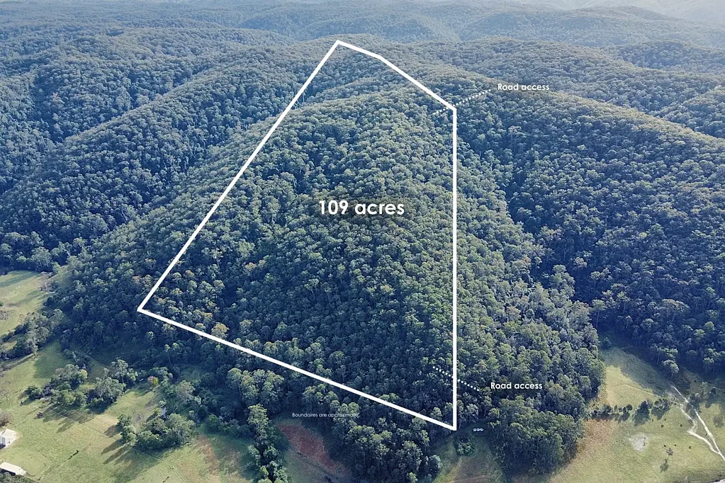 Yarramalong  Powered Block with Real Potential - 109 Acres (Approx)