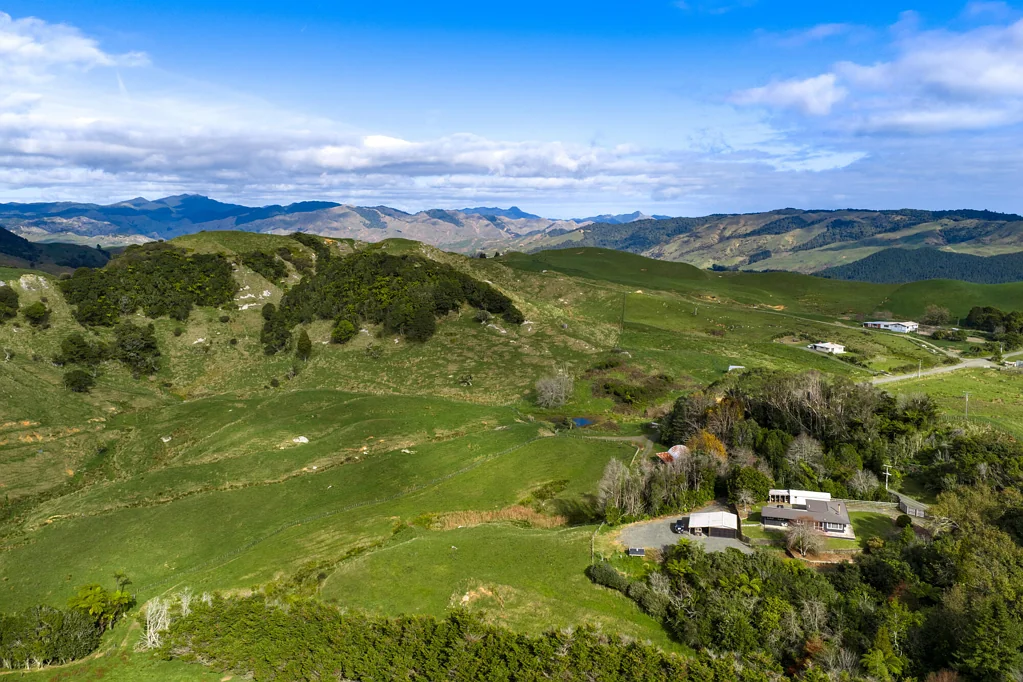 Te Kuiti Big country, big scale, big opportunity
