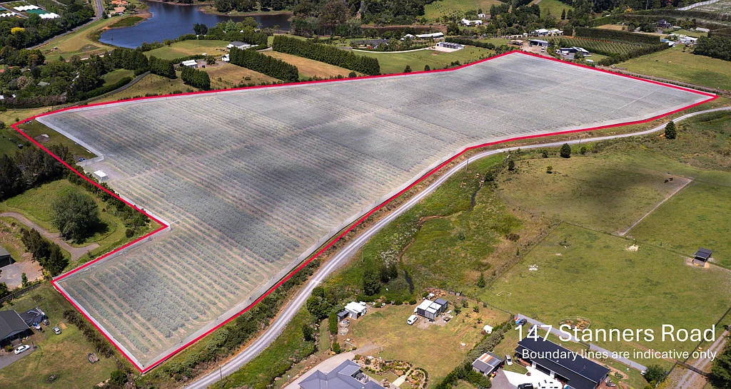Kerikeri  Major blueberry opportunity