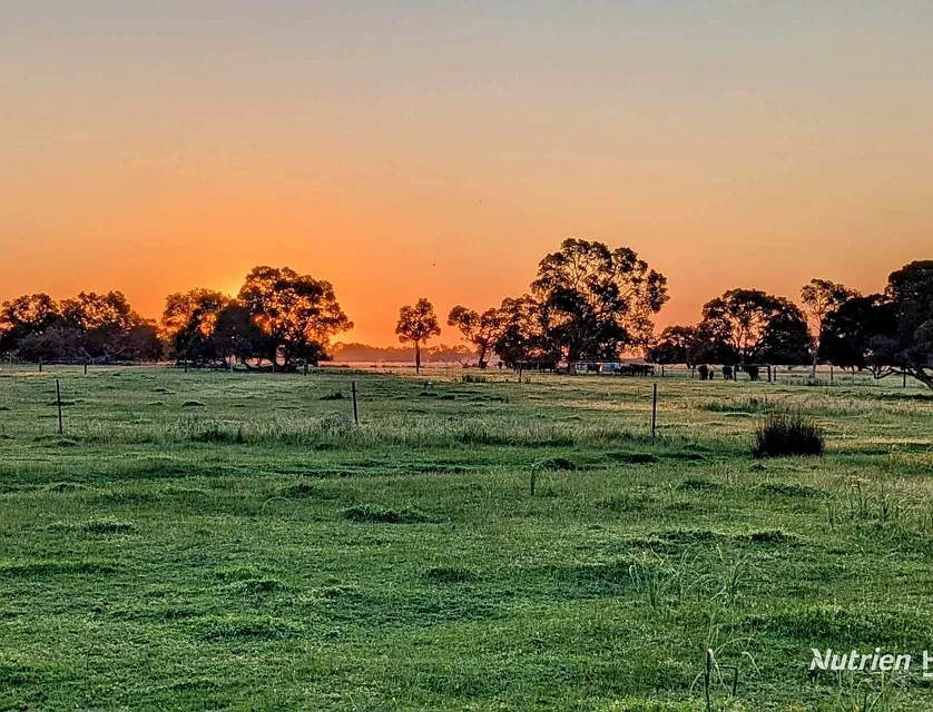 Lot 64 Muckenburra Road (Muckenburra), Gingin, Wheat Belt, 0房, 0浴, Lifestyle Property