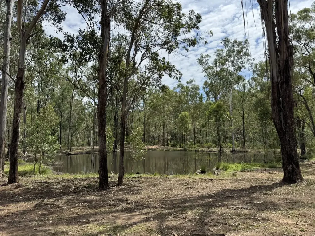 Monto Hurdle Gully