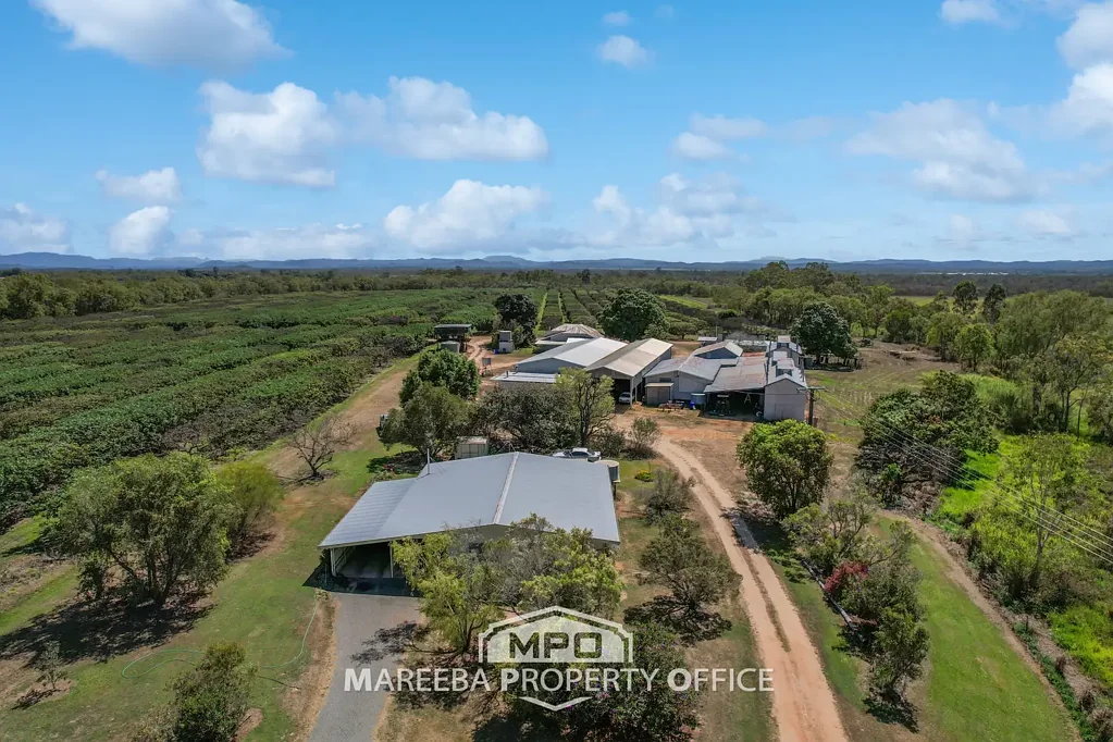 Mareeba COMMERCIAL AVOCADO FARM